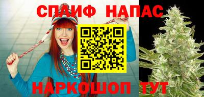 ГАЛЛЮЦИНОГЕННЫЕ ГРИБЫ Нарткала